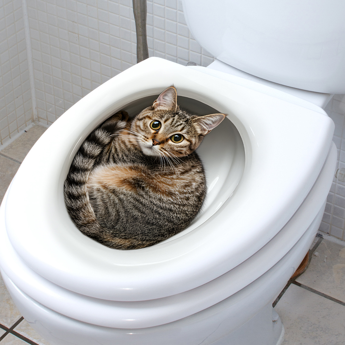 3D Funny Cat Toilet Sticker Ba - Tiny Home Bathroom Kit reseña y precio